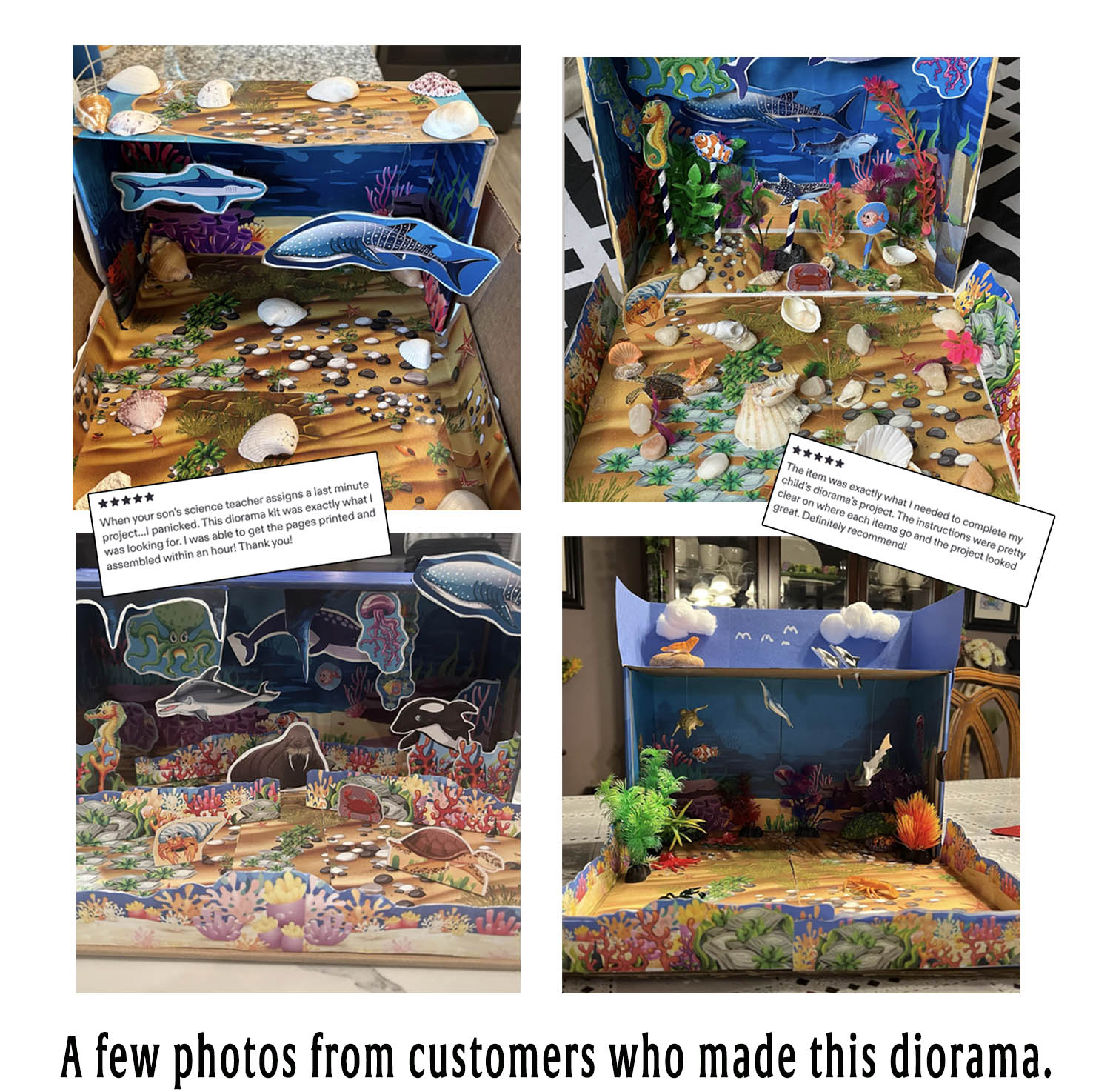 Collection of customer-made ocean habitat dioramas customized with shells, plants, stones and sea animals