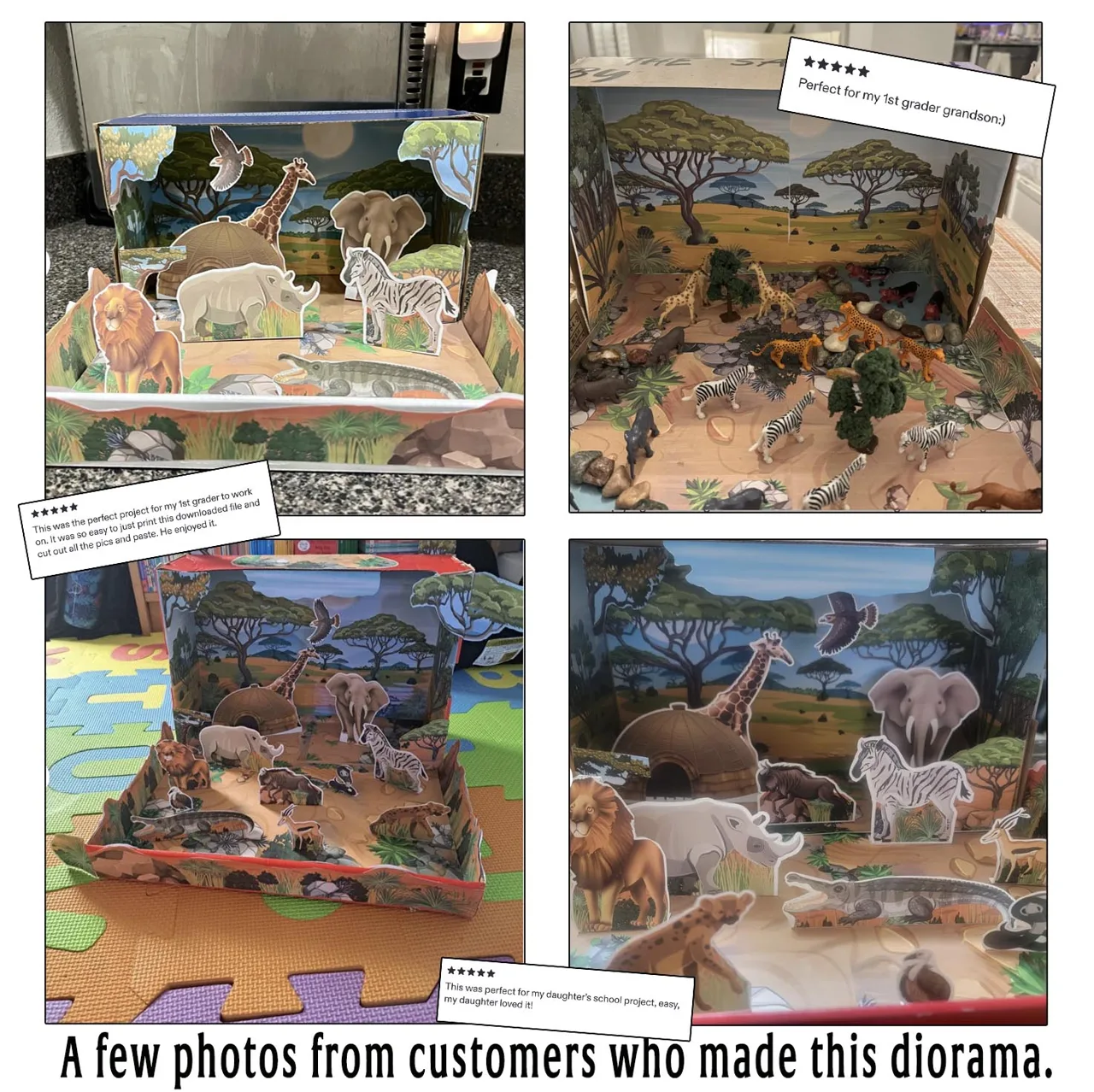 Customer examples of completed savanna habitat dioramas with printed animals, trees, rocks and added craft materials