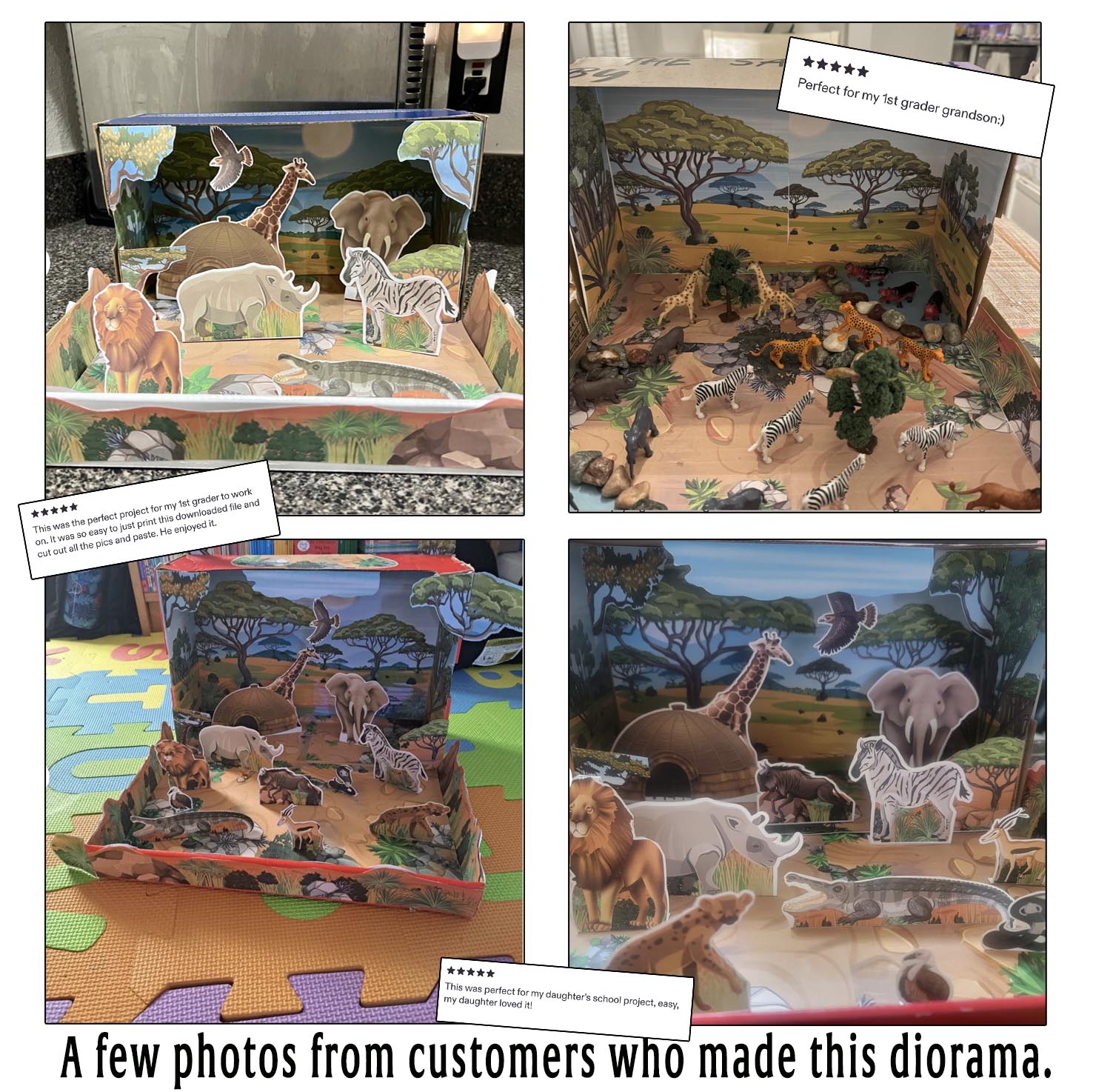 Customer examples of completed savanna habitat dioramas with printed animals, trees, rocks and added craft materials