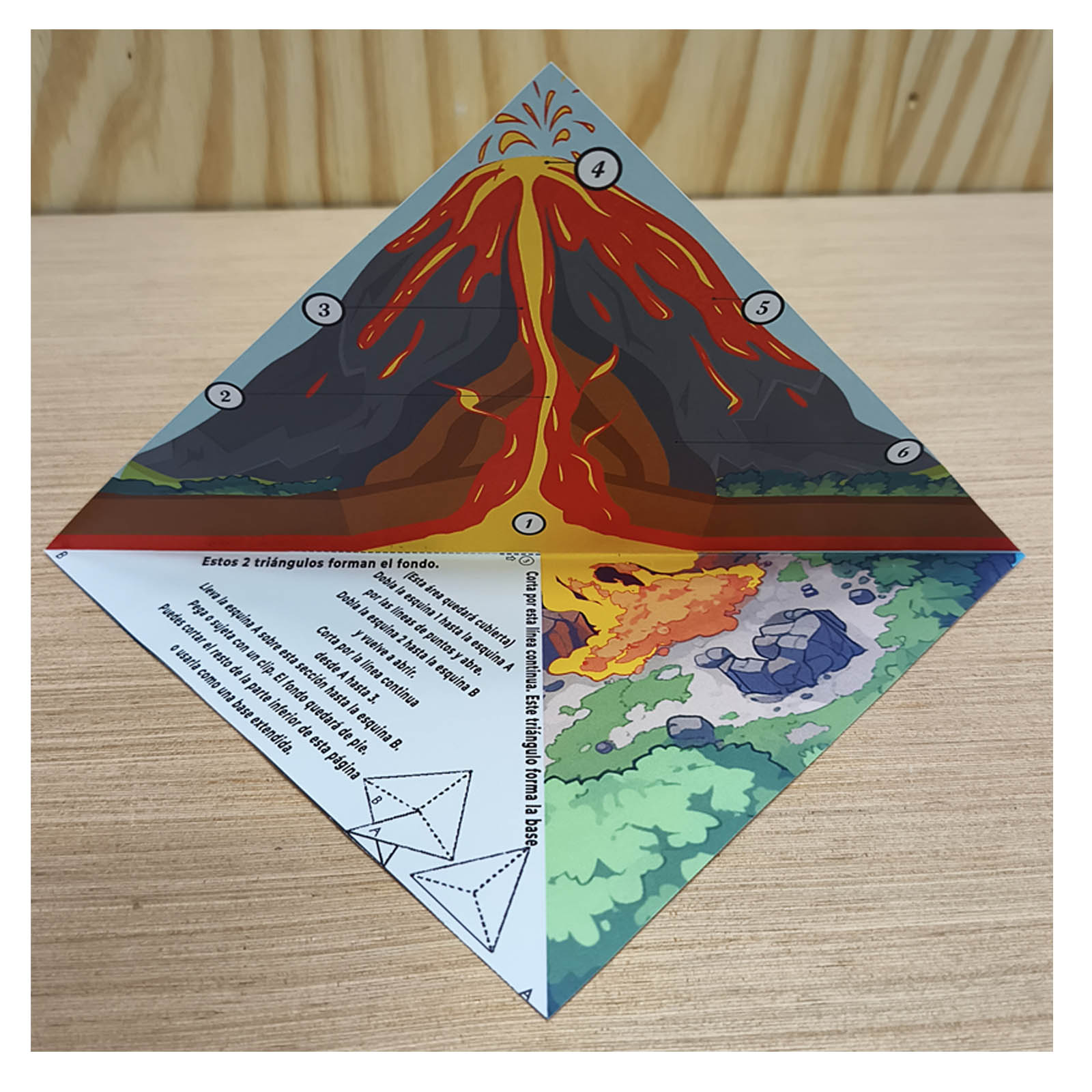 Volcano diorama with plants, trees and an English information card about mineral-rich volcanic soil