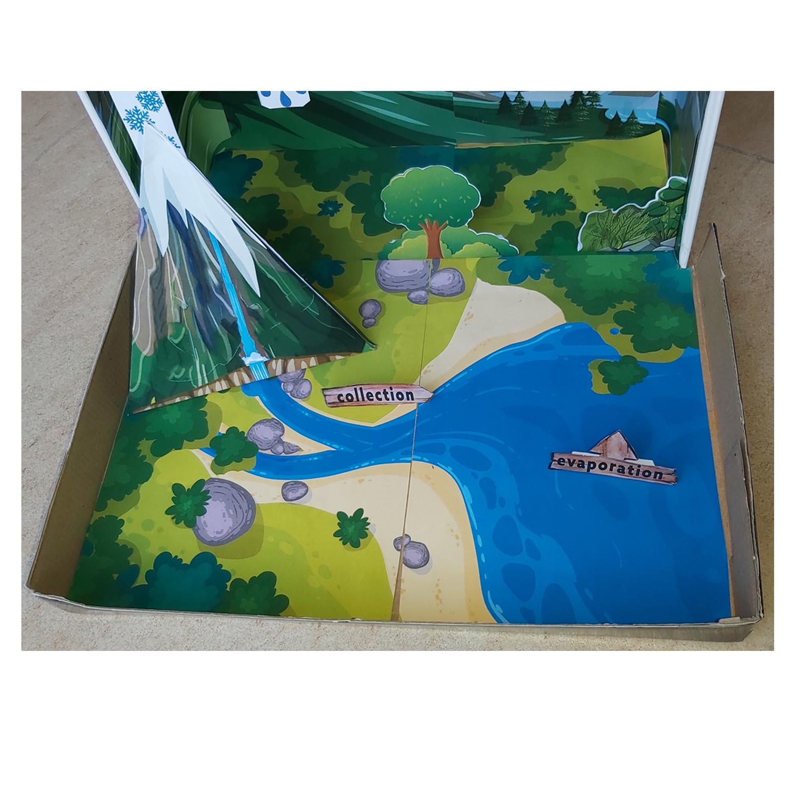 3D Water Cycle school project showing collection and evaporation
