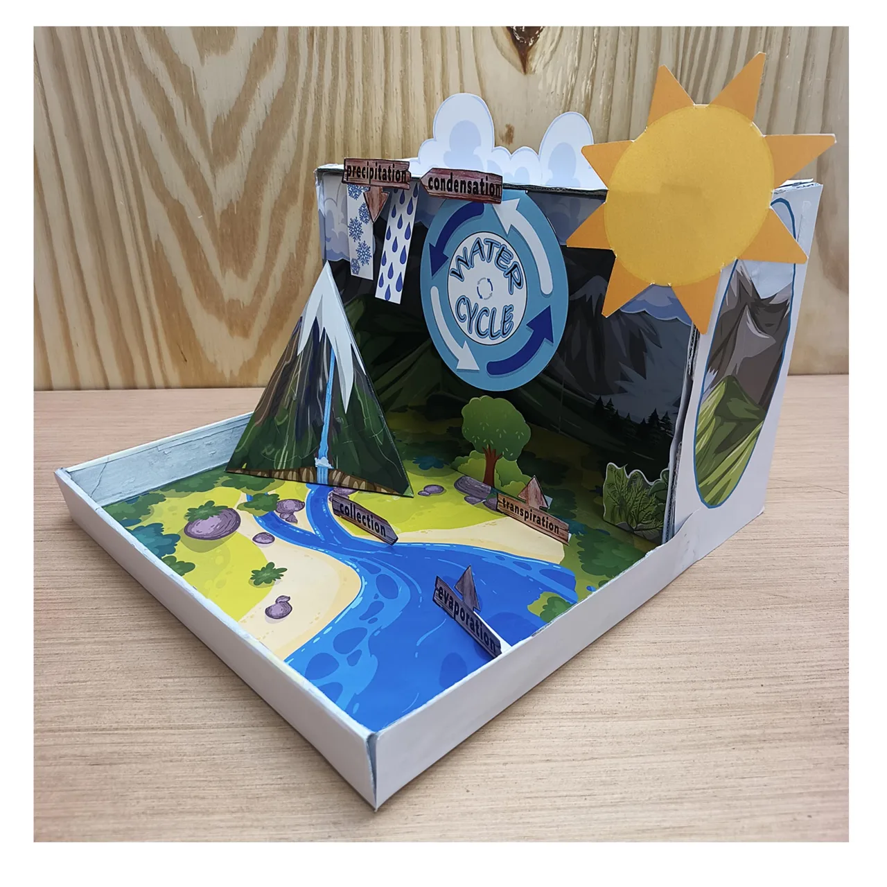 Finished labelled water cycle model viewed from one side