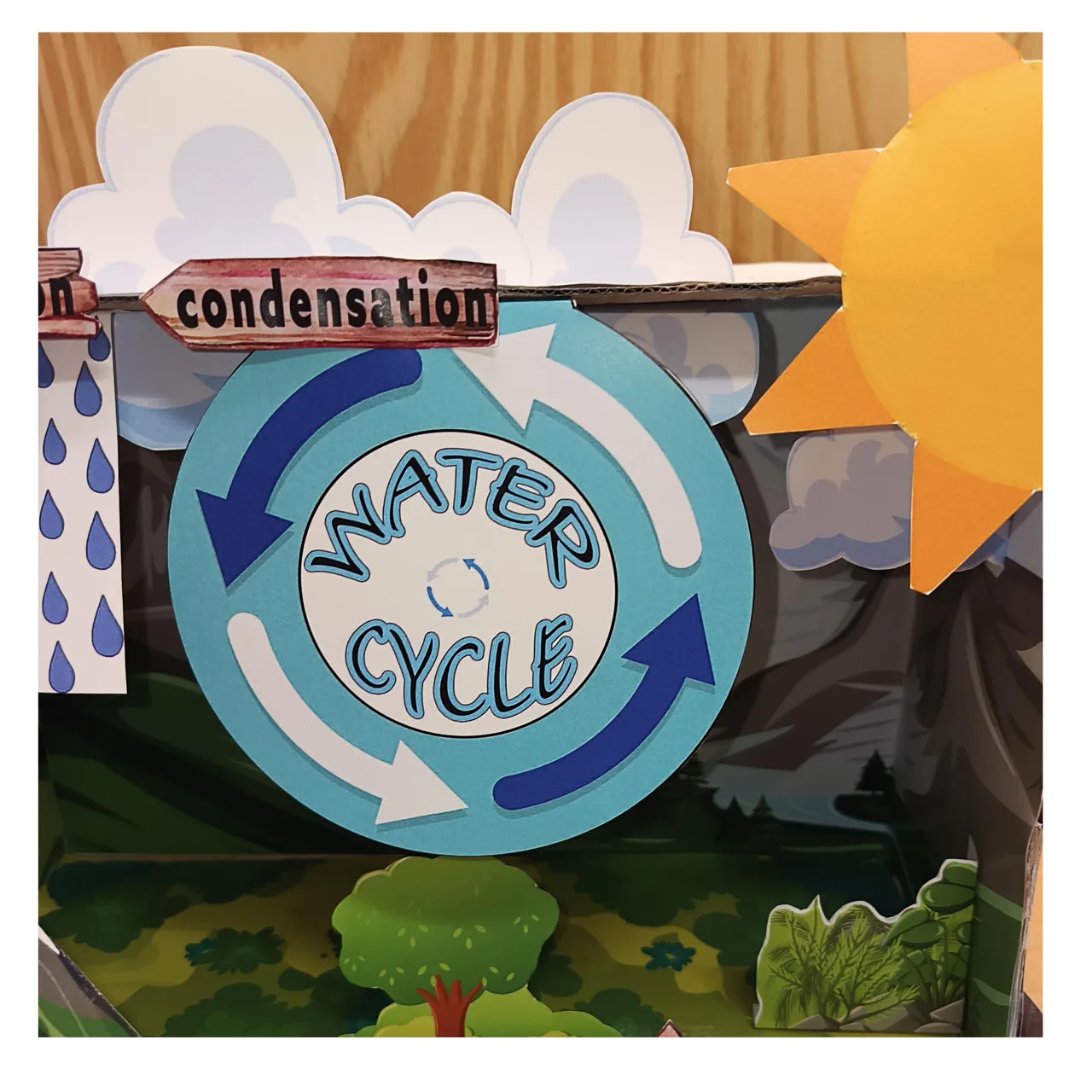 Condensation label above the circular water-cycle diagram
