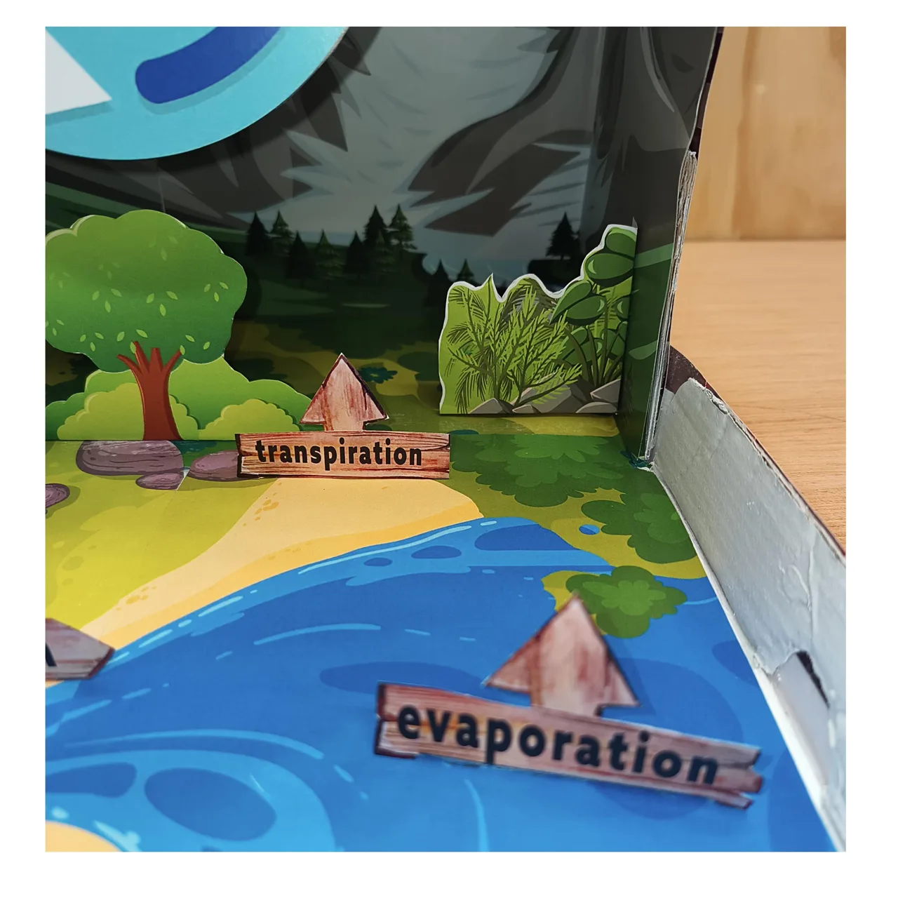 Evaporation label by the water and transpiration label near a tree